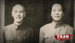 《百炼成钢：中国共产党的100年》第二十二集 胸中自有雄兵百万