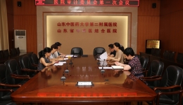 我院召开审计委员会第一次会议