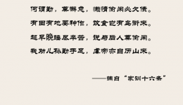 训尔勤