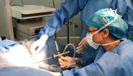 [妇产科]我院成功开展非能量（HEOS冷刀）宫腔镜手术
