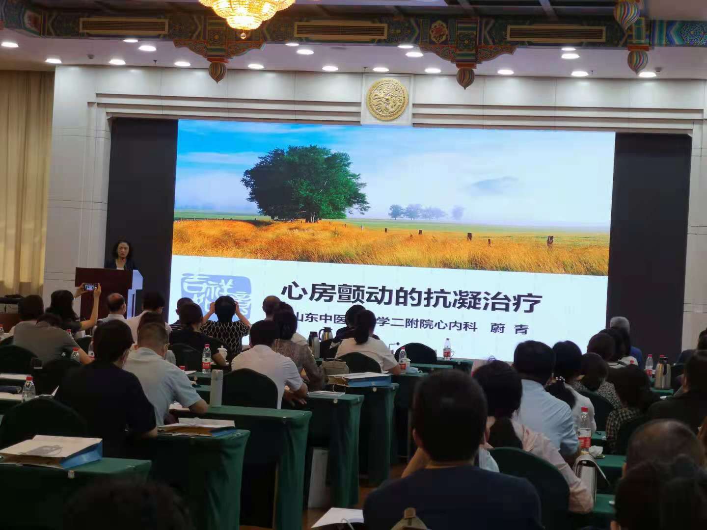 图片 7