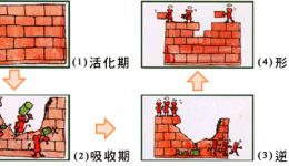 骨质疏松科普文章