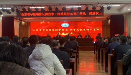 我院赴新泰中医医院开展治未病专科集群巡查巡诊工作及学术交流