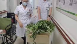 粽情过端午 艾香暖人心-我院脑病康复开展端午暖心活动