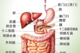 如何预防消化系统疾病