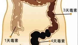 便秘很痛苦，我该怎么办？