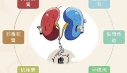 对肾脏有好处的六个好习惯！