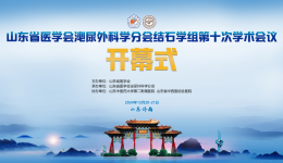 山东省医学会泌尿外科分会结石学组第十次学术会议顺利召开