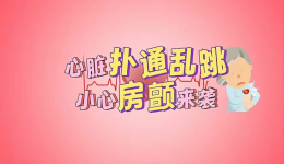 房颤知多少