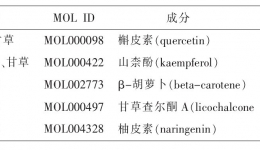 我科抗癌中药研究—当归四逆汤干预外泌体抑制多发性骨髓瘤血管新生的机制研究