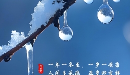 冬至养生——善养冬藏，固本御寒