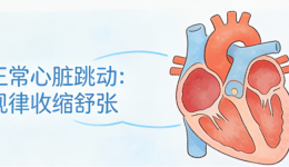 心慌心跳乱？警惕房颤这个“心脏隐形杀手”！
